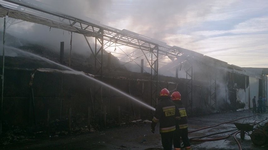 Pożar sortowni MPK: zdjęcia z terenu zakładu