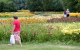 Coraz wyższy popyt na kosmetyki naturalne. Wzrost rynku zahamuje brak surowców?