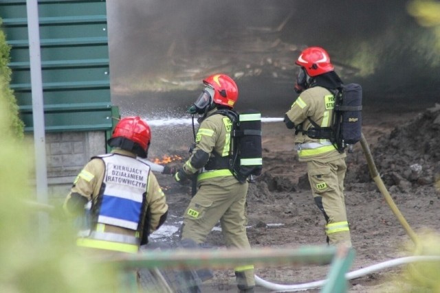 4 maja to Dzień Strażaka w Polsce. Straże Pożarne dzielą się na państwowe (PSP) oraz ochotnicze (OSP). PSP działają w oparciu o struktury powiatowe lub miejsce.