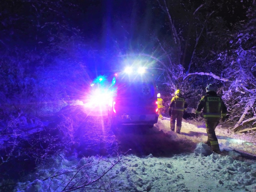 Strażacy-ochotniczy z Bociek usuwali z drogi złamane drzewo...