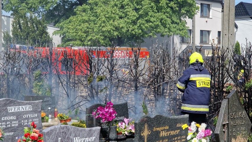 Strażacy opanowali pożar na cmentarzu parafialnym.