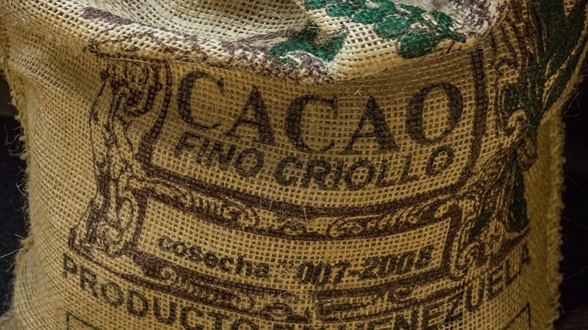 Kakao jest wyrobem otrzymanym przez sproszkowanie...