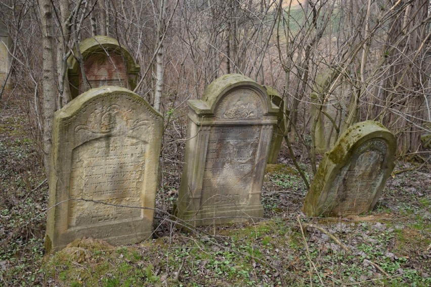 Żydowski cmentarz w Siedleczce w gm. Kańczuga od wielu lat...
