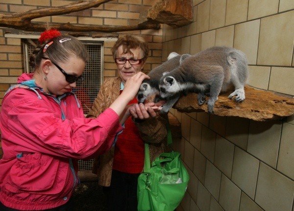 Karolina Borczyk przyszła do zoo z babcią.