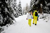 Zima w Jakuszycach i Świeradowie. Bajeczne krajobraz na trasie do Stacji Turystycznej Orle i nie tylko. Zobaczcie sami! [ZDJĘCIA]       