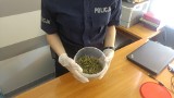 Handlarka narkotykami wpadła w ręce policjantów z Łodzi. Miała w aucie pól kilograma amfetaminy i marihuanę,