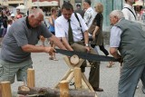 Dobra zabawa na Dolnośląskim Festiwalu Leśnym (ZDJĘCIA)