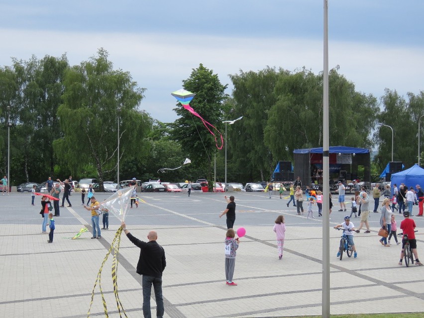 Piknik z Latawcem w Piekarach Śląskich