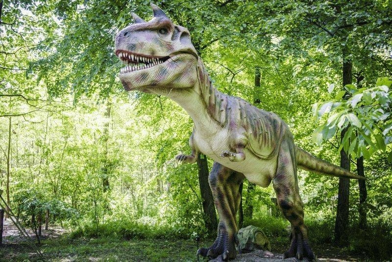 Największy w Polsce Park Ruchomych Dinozaurów już czynny!