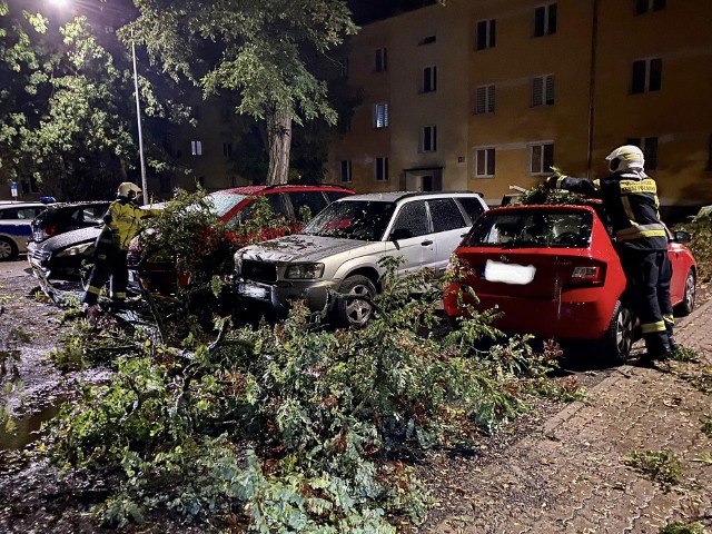 Do niebezpiecznego zdarzenia doszło we wtorek (3 października) o godz. 23.14 przy ul. Sienkiewicza w Solcu Kujawskim. Tu konar drzewa spadł na 4 zaparkowane samochody.