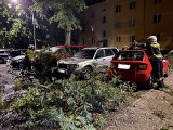 Silny wiatr w Kujawsko-Pomorskiem łamał drzewa jak zapałki! W Solcu zniszczone zostały cztery auta - zobaczcie zdjęcia