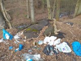 Słupskie lasy zasypane śmieciami, nawet tam gdzie w Dzień Ziemi posprzątano