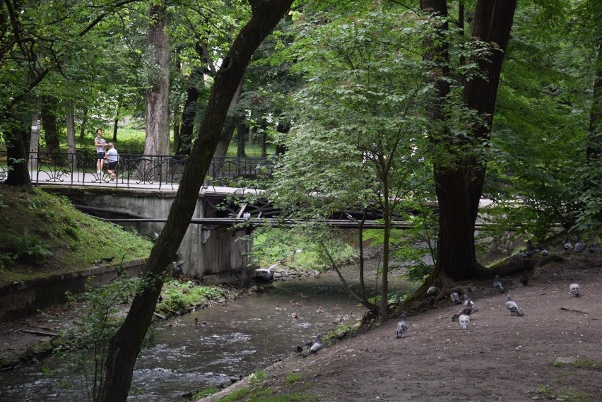 Gmina Krzeszowice kupiła Dzikie Planty. Zmieni je w prawdziwe bulwary 