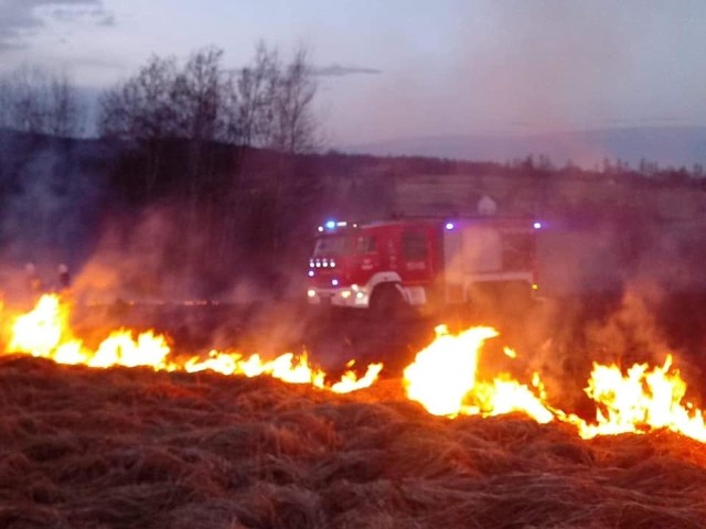 Według strażaków z OSP Brody był to już trzeci pożar na nieużytkach w tej okolicy w ostatnim tygodniu