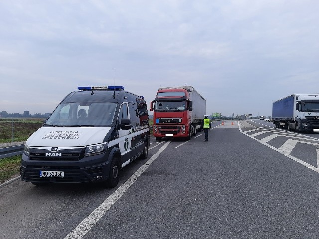 W Alojzowie pod Iłżą inspektorzy zatrzymali kierowcę ciężarówki, który miał ponad promil alkoholu w wydychanym powietrzu.