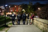 Niespokojne bulwary wiślane w Krakowie na celowniku policji i straży miejskiej. W dwa wieczory blisko 300 mandatów