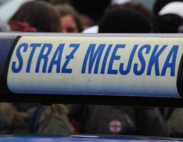 Strażnikom miejskim zdarza się łamać przepisy