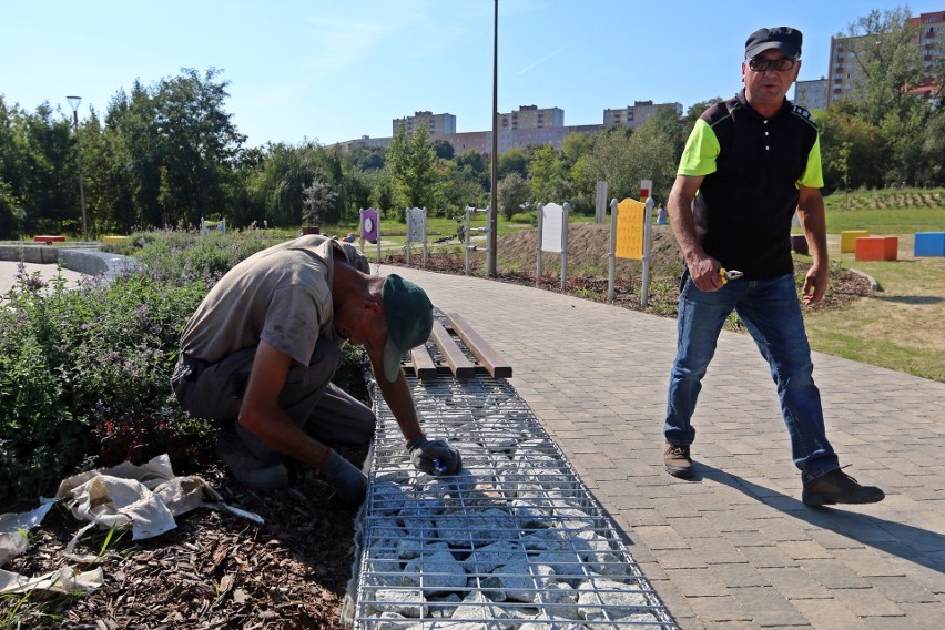 Zawilcowa. Dawne wysypisko wreszcie zmieniło się w park (ZDJĘCIA)