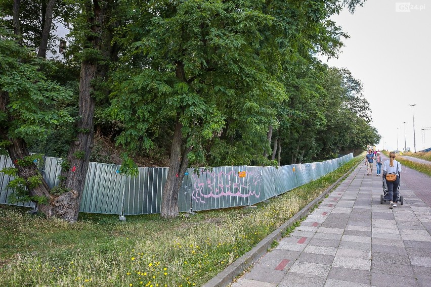 Mówią "nie" wycince drzew na północnej skarpie Zamku Książąt Pomorskich w Szczecinie. Jest apel. Co odpowiada marszałek i Zamek?