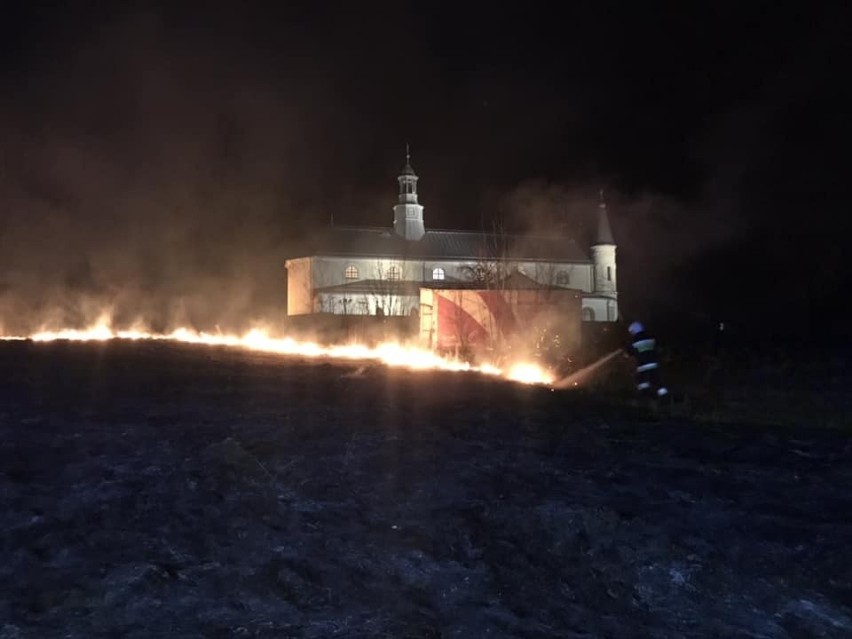 Pożar traw przy ulicy Zakościele w Daleszcyach