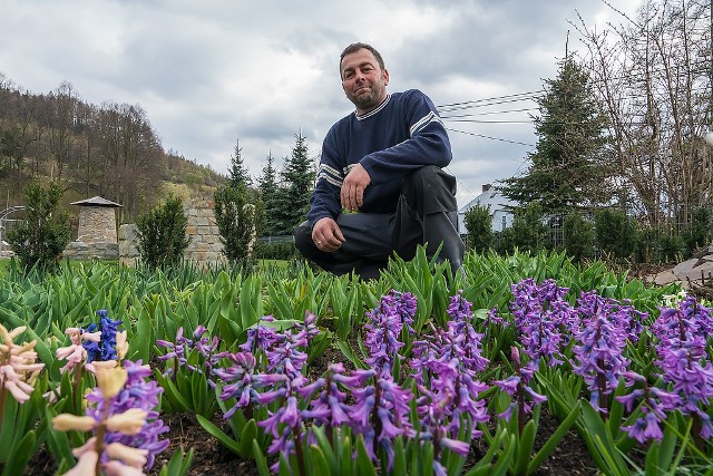 Andrzej Buszek zna każdą roślinę w Ogrodach Biblijnych. To ogrodnik, który przygotowywał atrakcję na ich otwarcie po zimie.