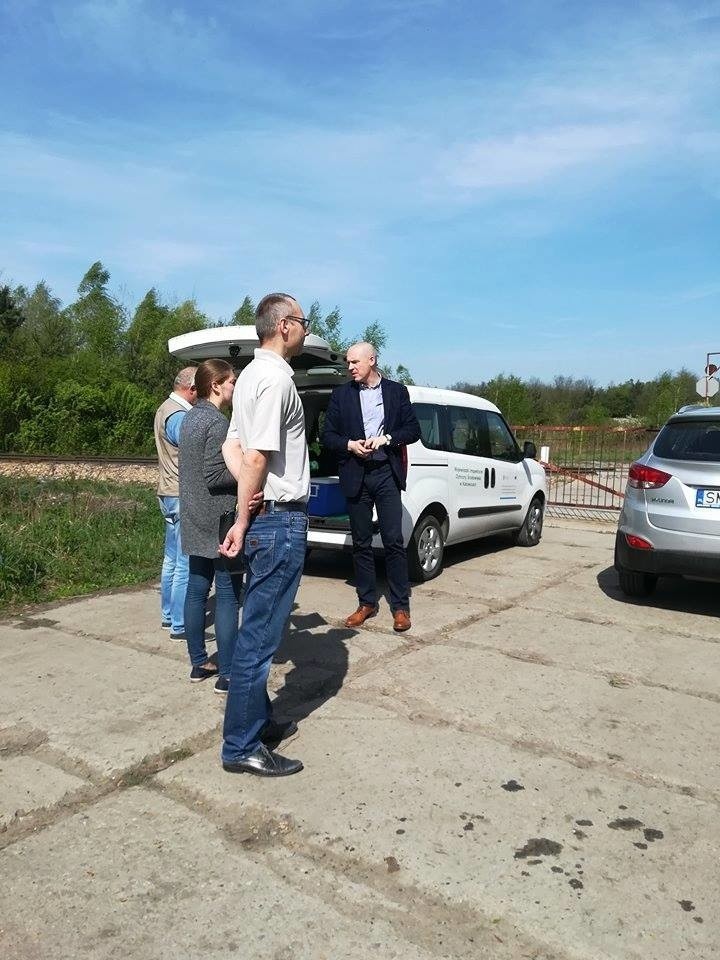 Śnięte ryby w Dziećkowicach ZDJĘCIA Co spowodowało skażenie wody w Przemszy? Miejskie służby badają przyczyny