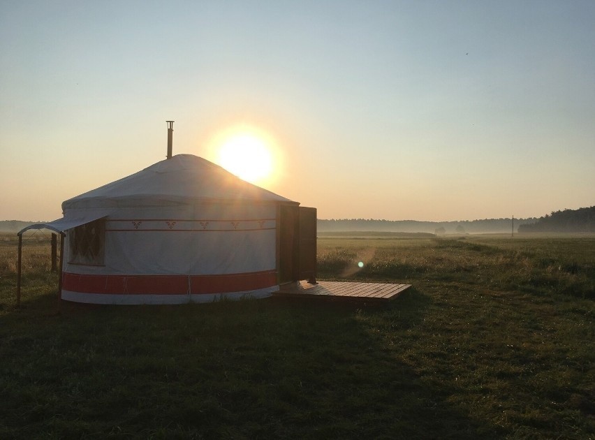 Glamping w województwie śląskim stopniowo się rozwija i...