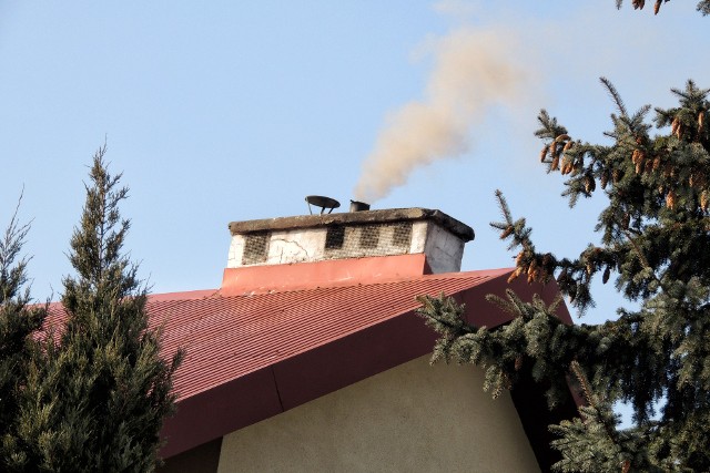 Bielawy, jeden z kopcących domków jednorodzinnych. Powietrze w Toruniu jest dziś bardzo zanieczyszczone...