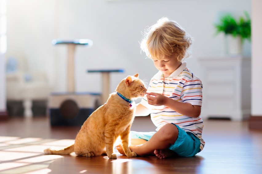 Koty pomagają dzieciom z autyzmem | Strona Zdrowia