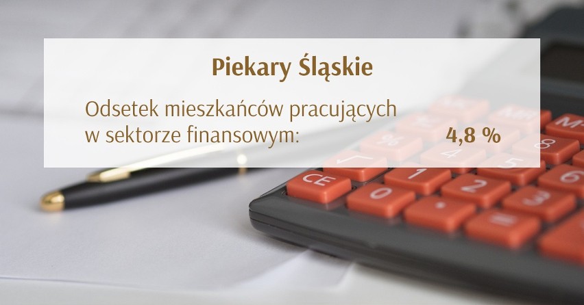Miasta w Śląskiem z największym odsetkiem mieszkańców pracujących w sektorze finansowym. Sprawdź, gdzie najprężniej rozwija się ta branża!