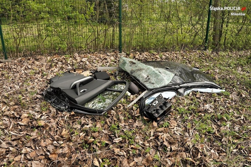 Śmiertelny wypadek w rejonie Śląskiego Ogrodu Botanicznego.