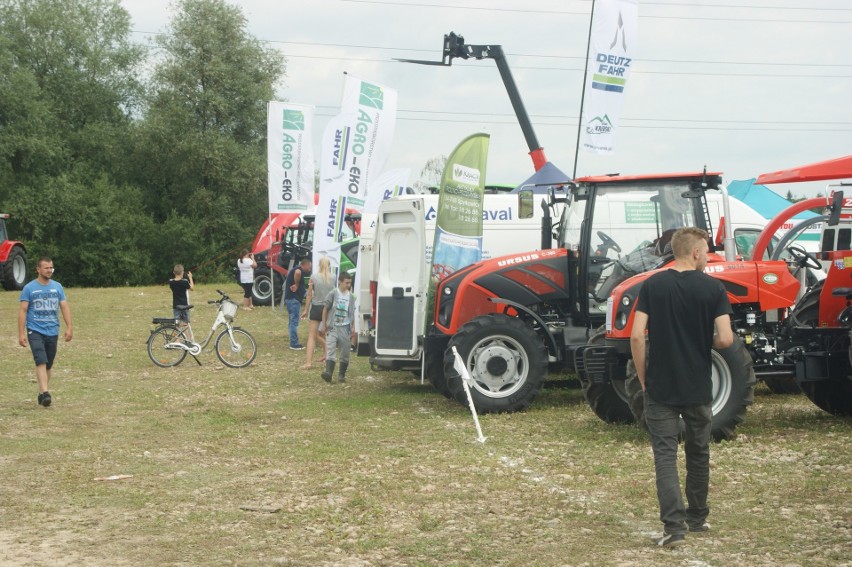 Wystawa zwierząt hodowlanych w Ludźmierzu. Tą imprezę pokocha każdy dzieciak!