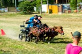 Gmina Turośń Kościelna. "Dzień Konia na Podlasiu". Był konkurs najpiękniejszych klaczek i ogierków oraz zawody zaprzęgów (zdjęcia, wideo) 