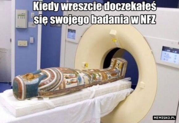 Wizyta już za kilka lat, czyli MEMY o NFZ. Tak internauci żartobliwie przedstawiają problemy w służbie zdrowia. Zobacz najlepsze memy!