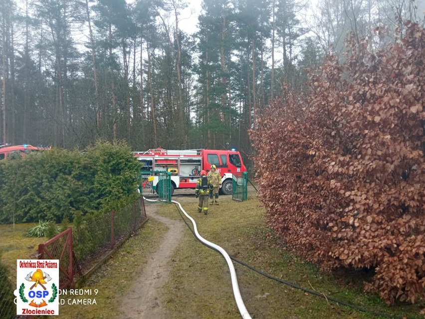 Do zdarzenia doszło na terenie ogródków działkowych przy...