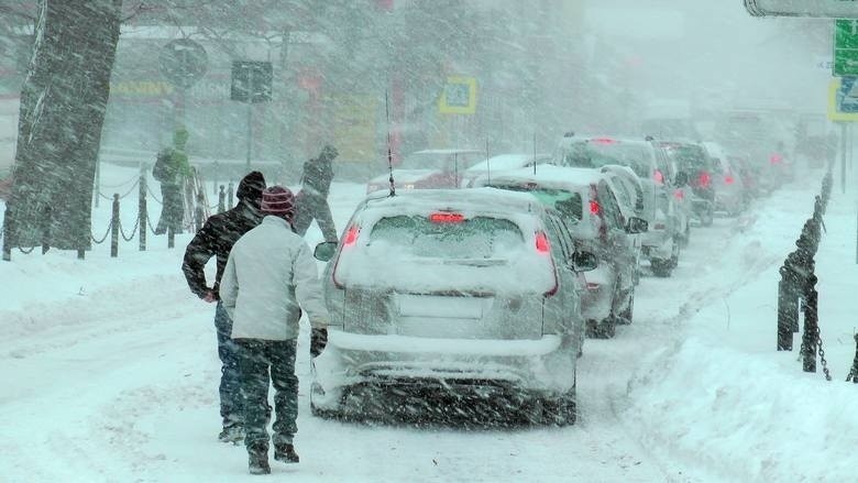 Pierwszy dzień wiosny: Jaki będzie? "Zima trzyma, wiosna przyjdzie 10 kwietnia" - Zobacz jak wyglądał pierwszy dzień wiosny rok temu