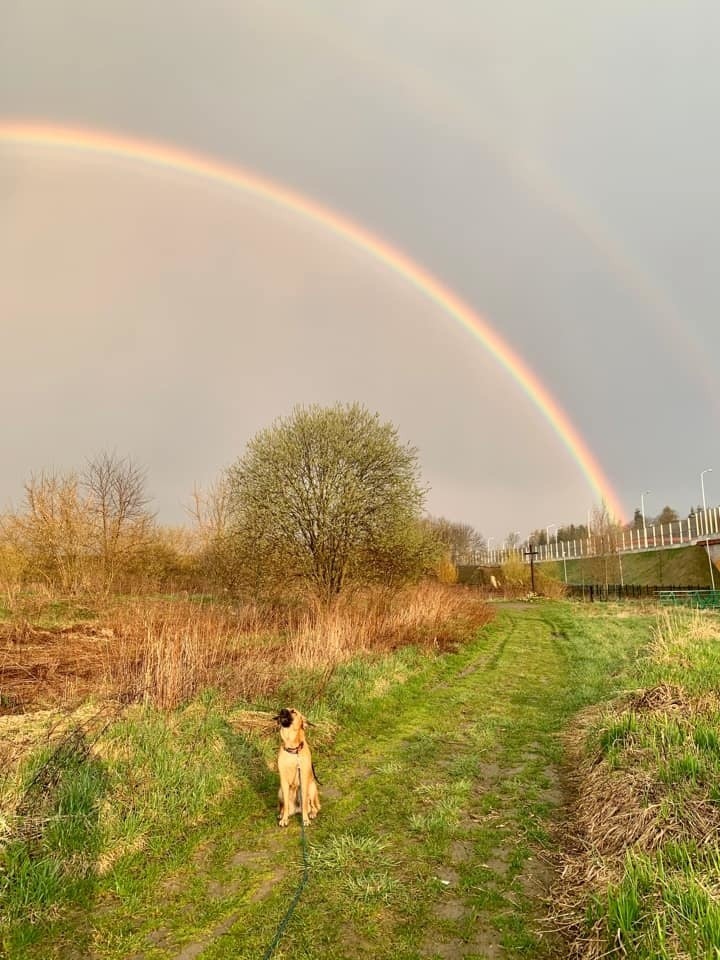 Tęcza nad Lublinem widziana oczami naszych czytelników. Zobacz zdjęcia