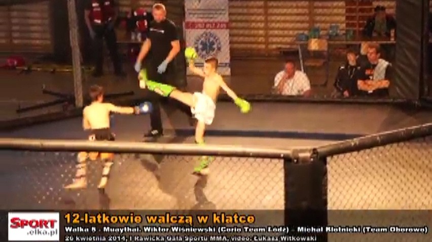 MMA w Rawiczu: Brutalne walki 12-latków w klatce