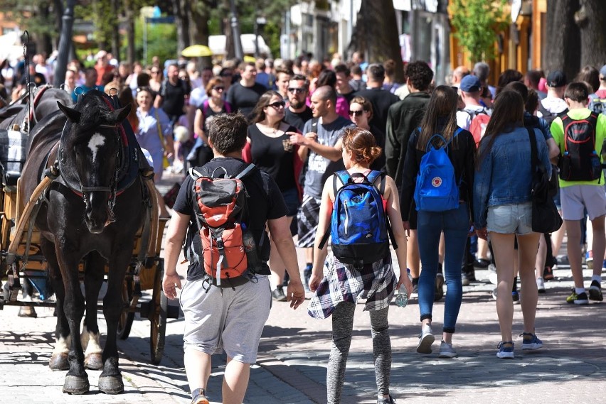 Zakopane. Na Krupówkach jest coraz więcej turystów [ZDJĘCIA]