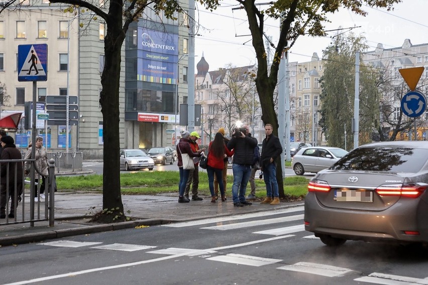 Kolejna petycja w sprawie planowanej wycinki drzew na placu Szarych Szeregów 