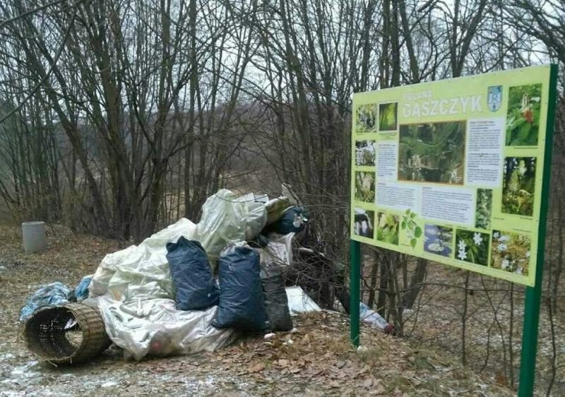 Częstochowa: Straż Miejska zlikwidowała nielegalne wysypisko śmieci na polanie Gąszczyk ZDJĘCIA