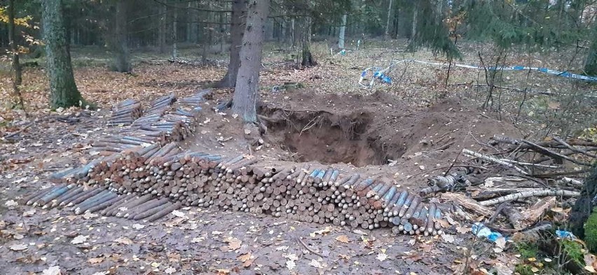 To nie bale drewna. Saperzy znaleźli w lesie 2300 pocisków artyleryjskich