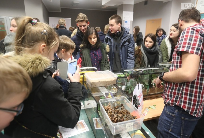 Noc Biologów w Szczecinie. Można zobaczyć pajęczaki, węże i owady [WIDEO]