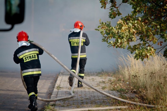 Zdjęcie ilustracyjne