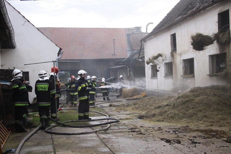 Spłonął budynek gospodarczy