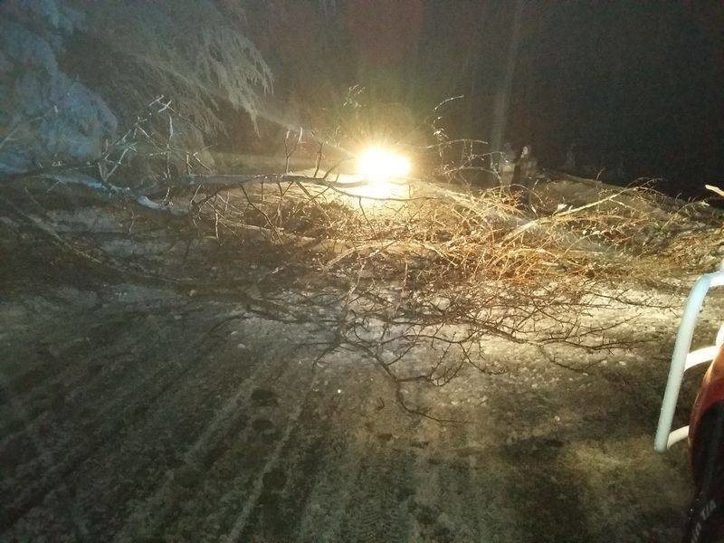 Zatarasowany wjazd do Krynicy. Drzewa połamały się pod ciężarem śniegu [ZDJĘCIA]