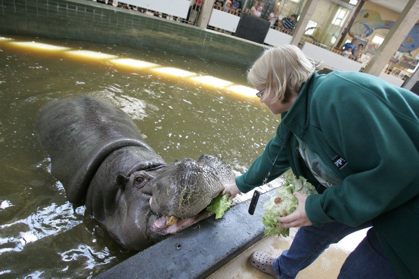 Śląski Ogród Zoologiczny od kuchni