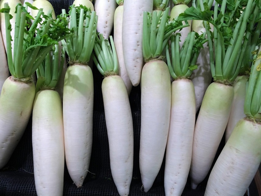 Biała rzodkiew to warzywo o licznych właściwościach...