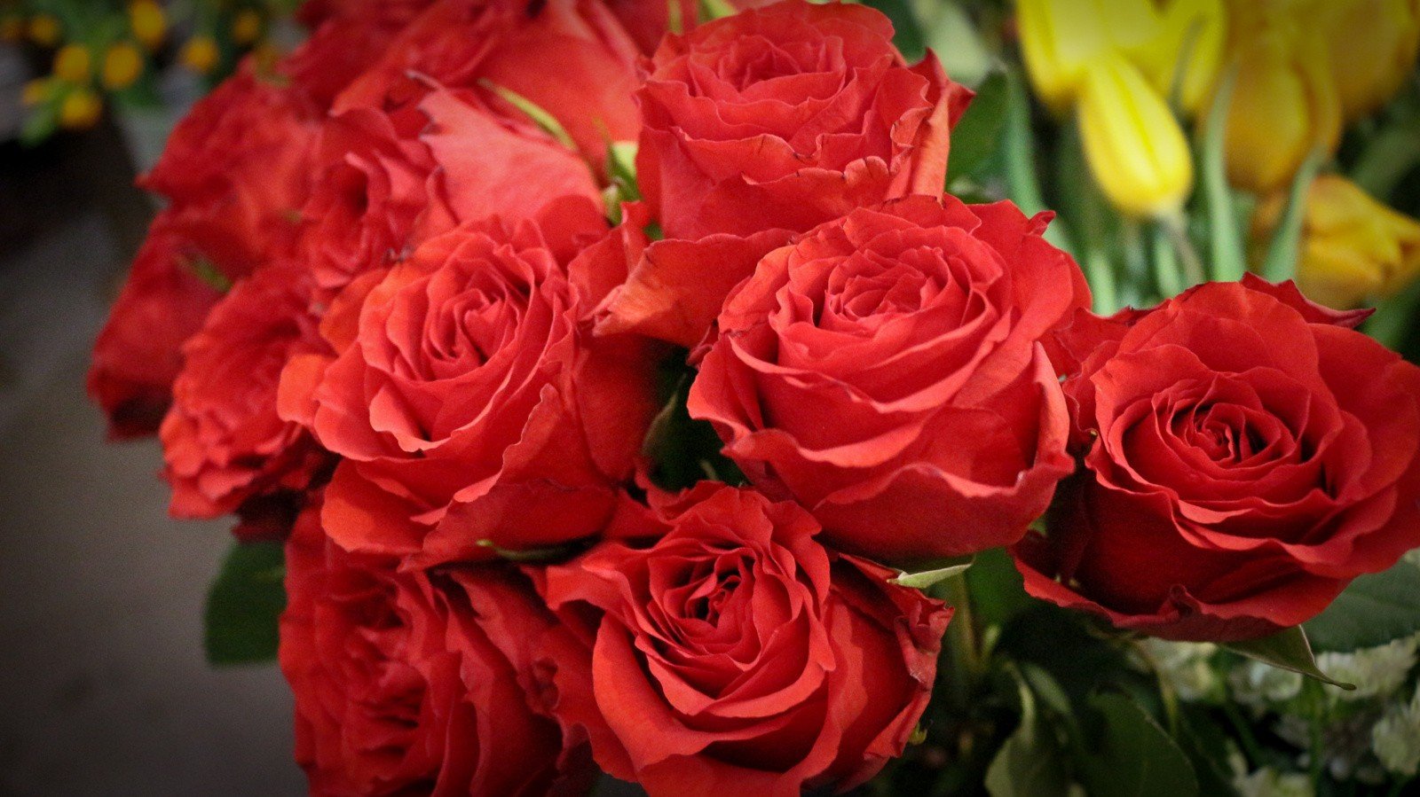 Kwiaty na Dzień Kobiet. Jakie będą najlepsze? Sprawdź znaczenie kolorów  kwiatów i nie popełnij gafy | RegioDom