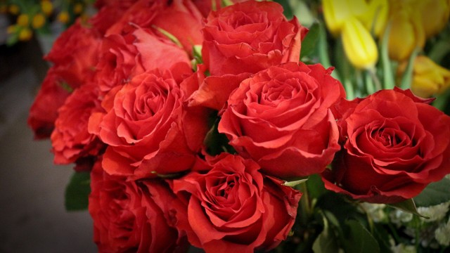 Bukiet wręczony z okazji Dnia Kobiet może nieść dodatkowe informacje. Warto zwrócić uwagę na kolor kwiatów.
